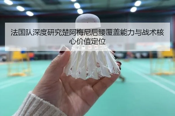 法国队深度研究楚阿梅尼后腰覆盖能力与战术核心价值定位